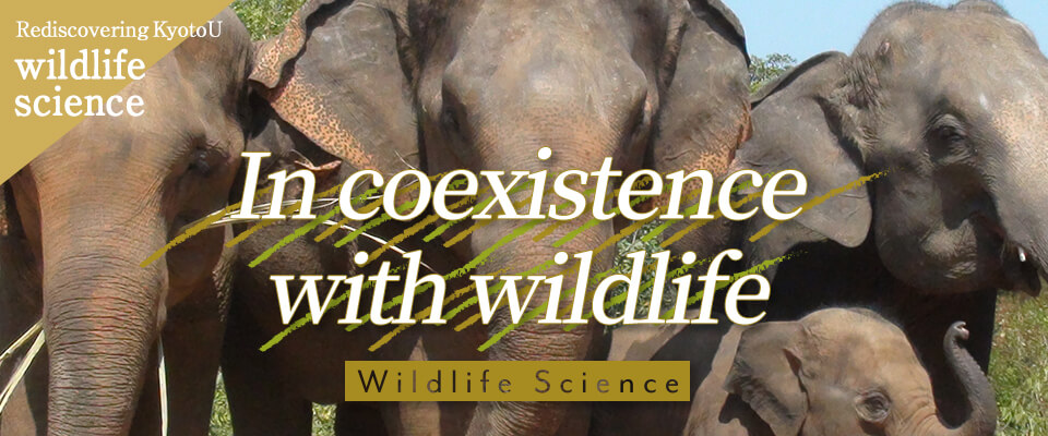 Rediscovering KyotoU wildlife science In coexistence with wildlife