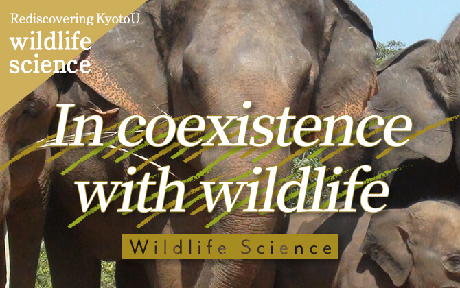 Rediscovering KyotoU wildlife science In coexistence with wildlife