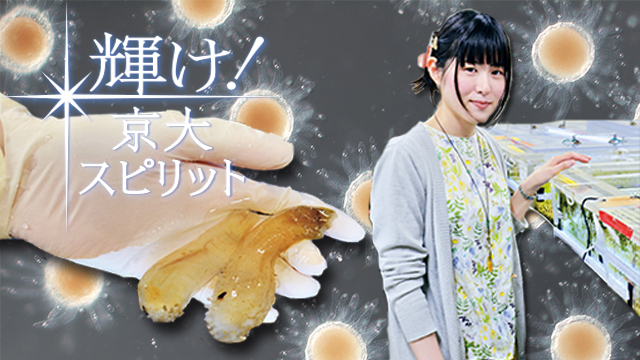 輝け！京大スピリット 脇 華菜さん