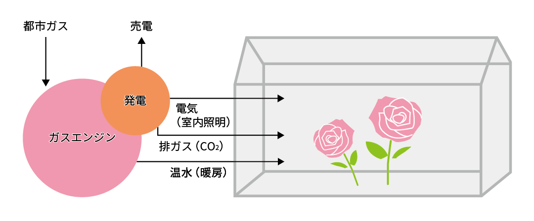 トリジェネレーションシステムの仕組み