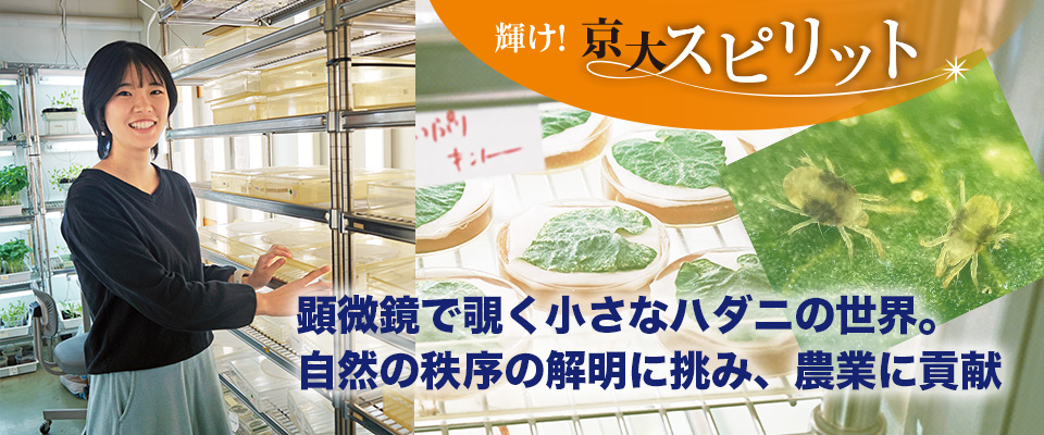 輝け！京大スピリット