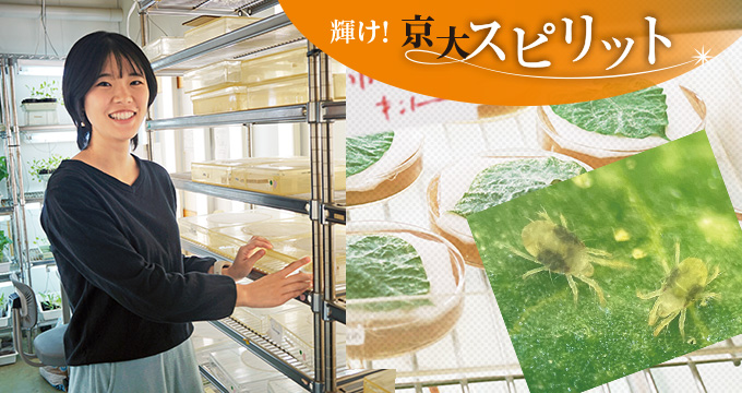 京大スピリット