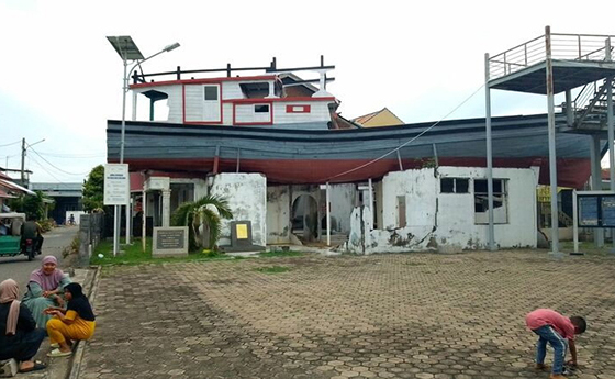 2024年12月の撮影写真