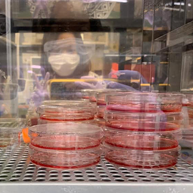 スラチャダ・チュアイチョブ