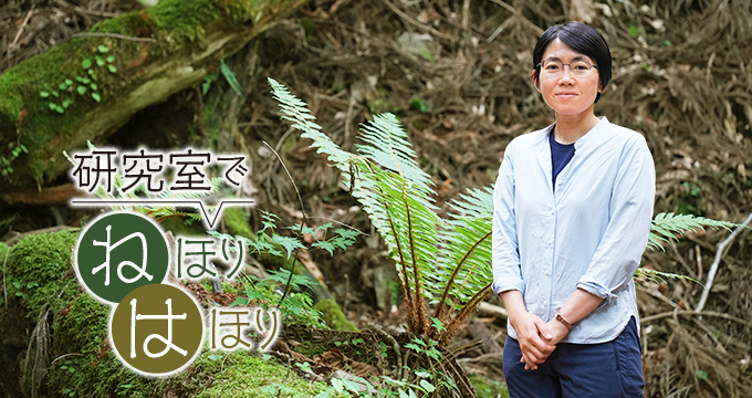 研究室でねほりはほり