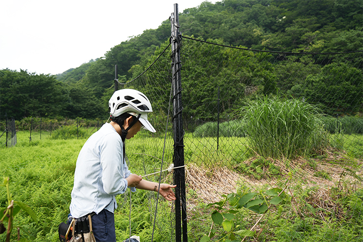 柵を修理する石原先生