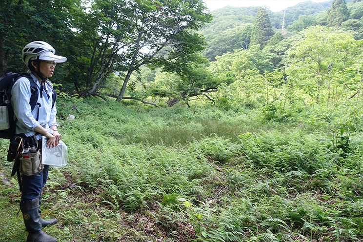 森を眺める石原先生