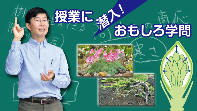 授業に潜入！ おもしろ学問 植物自然史Ⅱ