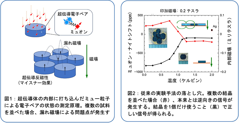 ミュー粒子を使って超伝導電子ペアの状態を解明―隣接する超伝導体の作る落とし穴に警鐘―