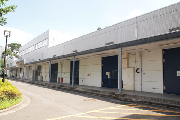 文章を入れてください