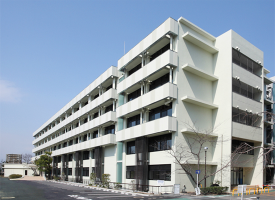 文章を入れてください