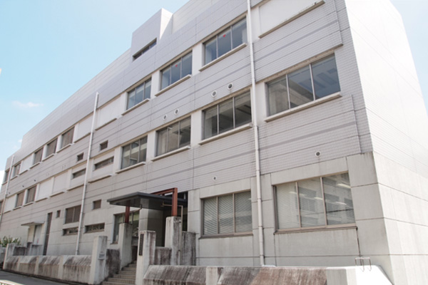 文章を入れてください