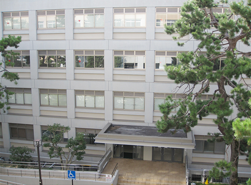 文章を入れてください