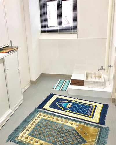 文章を入れてください