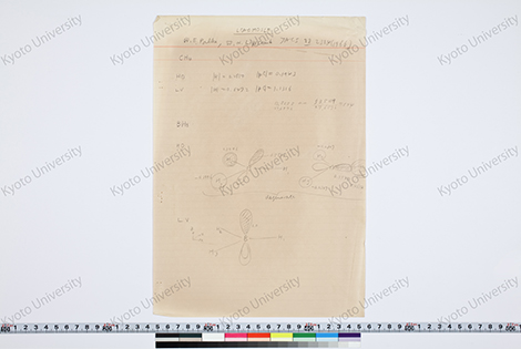 文章を入れてください