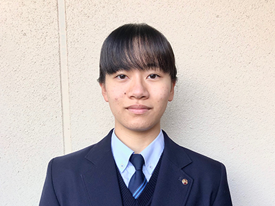 文章を入れてください