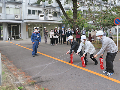 文章を入れてください