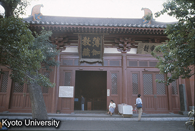 文章を入れてください