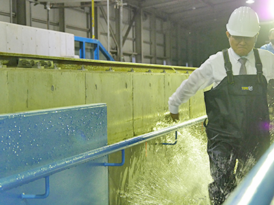 文章を入れてください