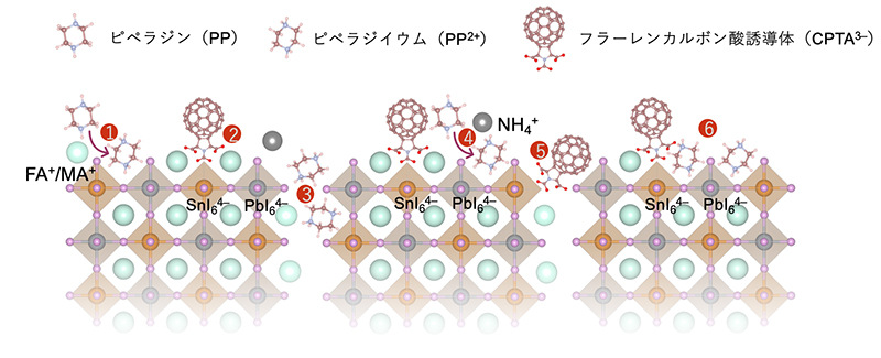 文章を入れてください