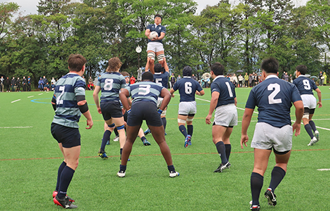 文章を入れてください