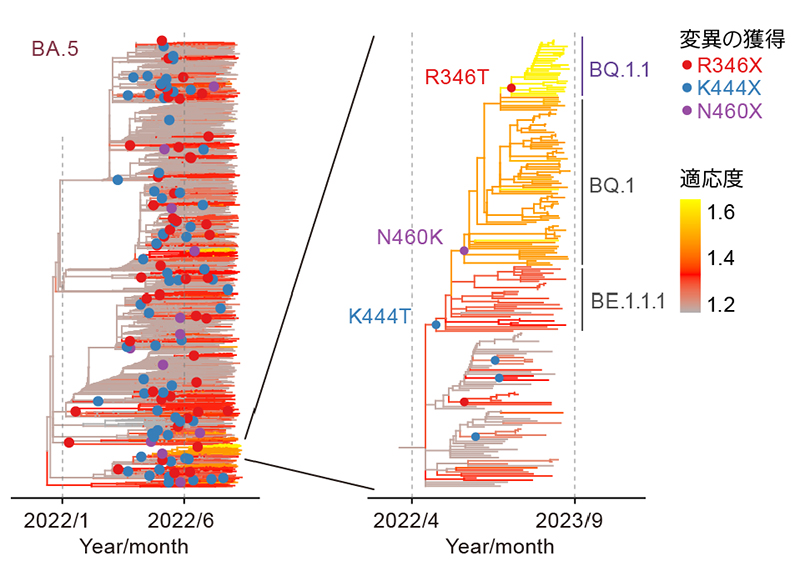 文章を入れてください