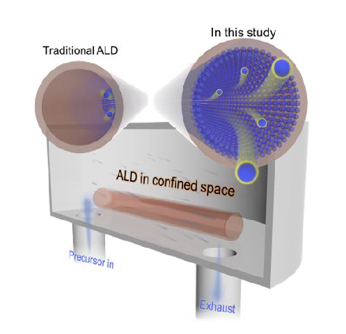 文章を入れてください