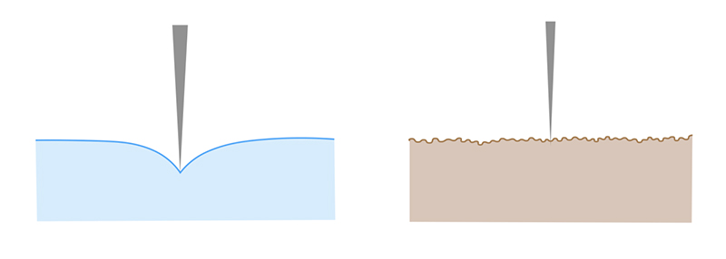 文章を入れてください