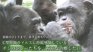 文章を入れてください