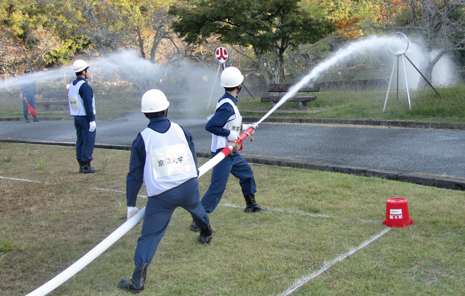文章を入れてください