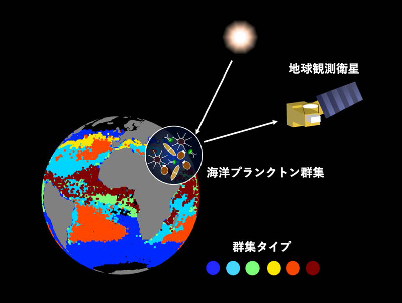 文章を入れてください