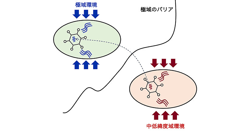 文章を入れてください