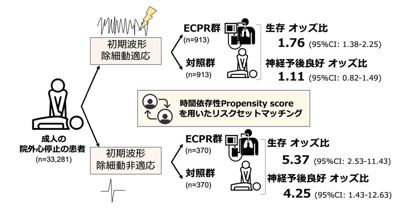 文章を入れてください