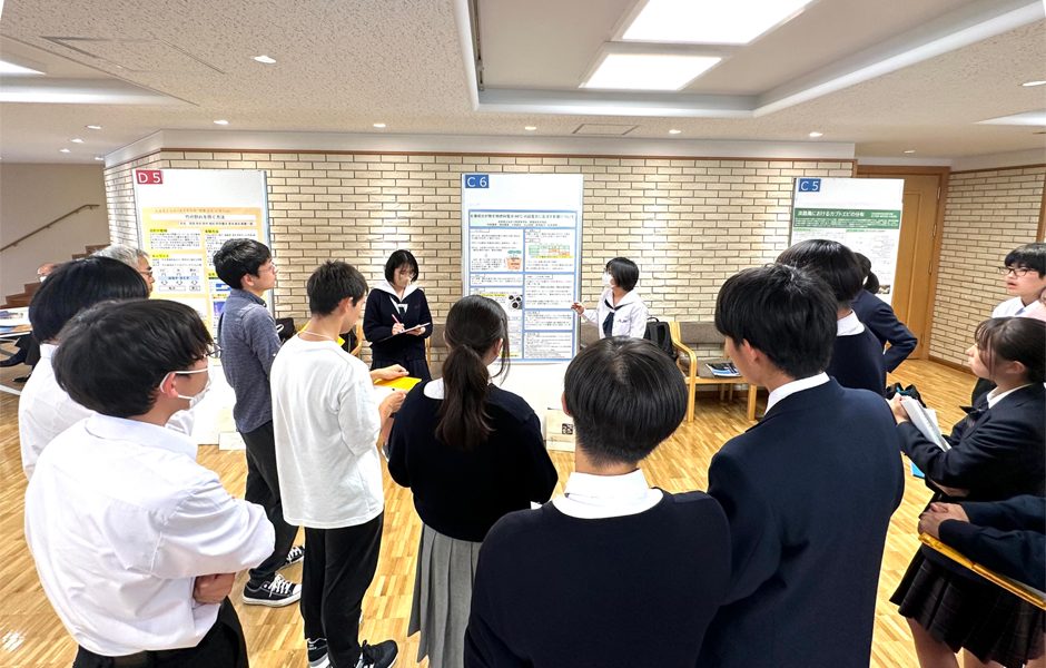 文章を入れてください