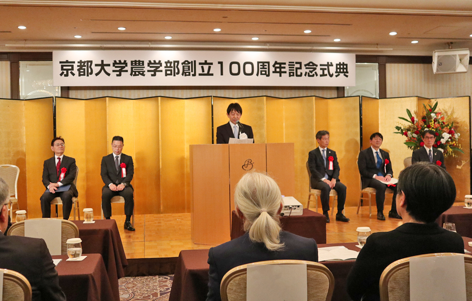 文章を入れてください