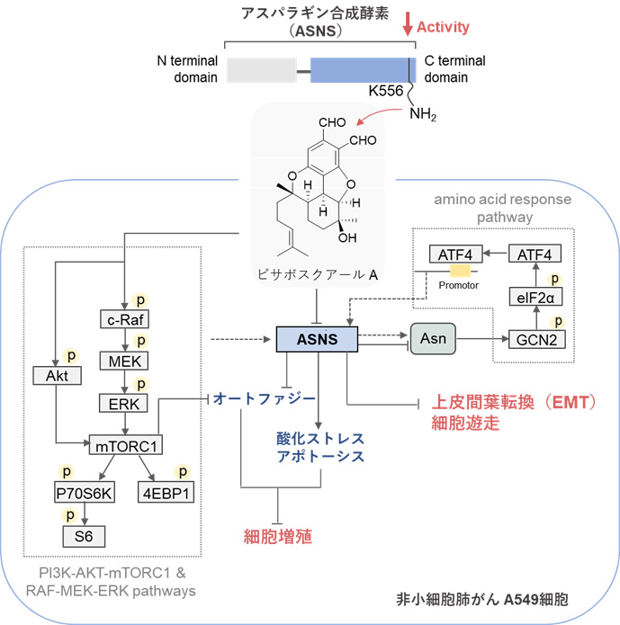 文章を入れてください