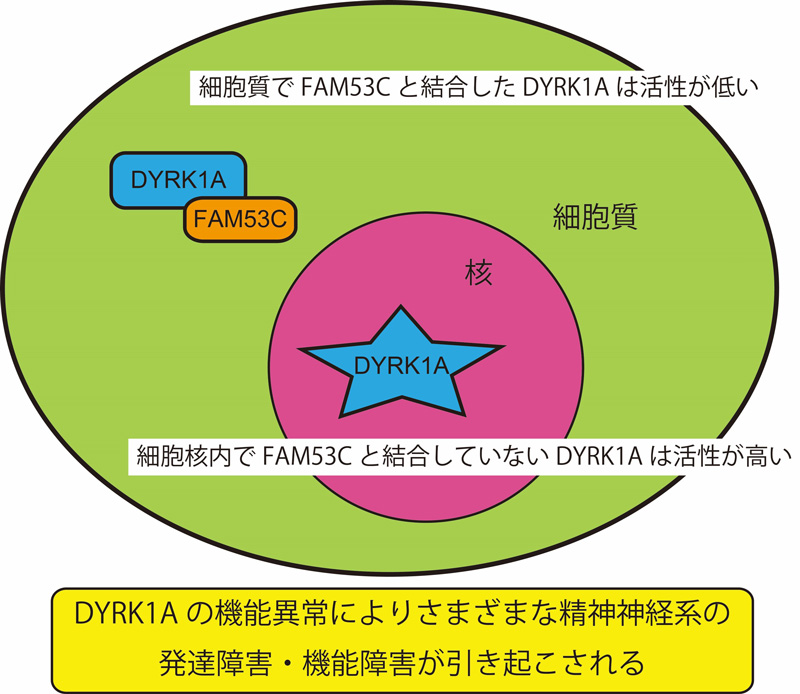 文章を入れてください