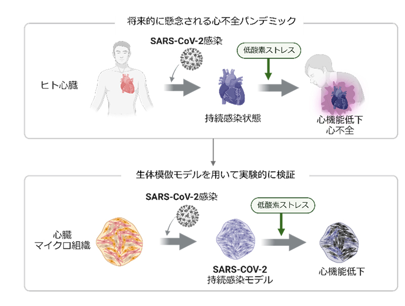 文章を入れてください