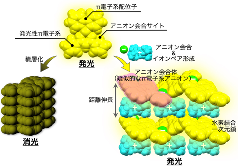 文章を入れてください