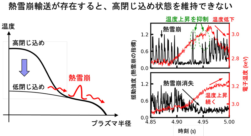 文章を入れてください