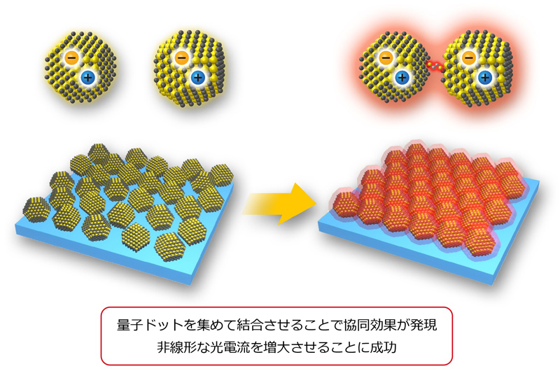 文章を入れてください