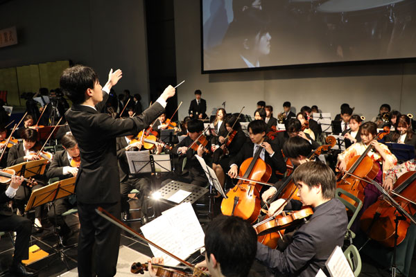 文章を入れてください