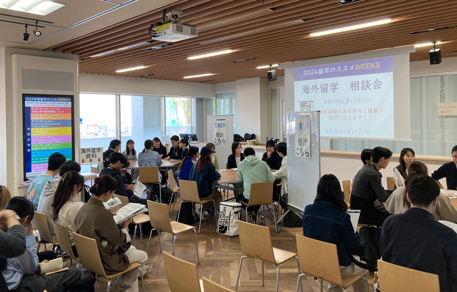 文章を入れてください