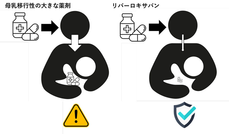 文章を入れてください
