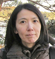 文章を入れてください