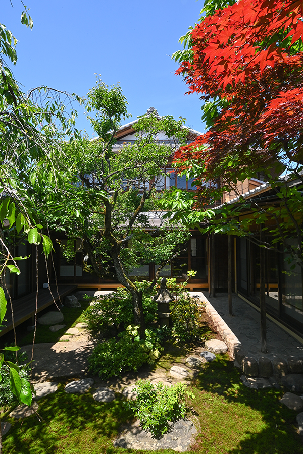 文章を入れてください