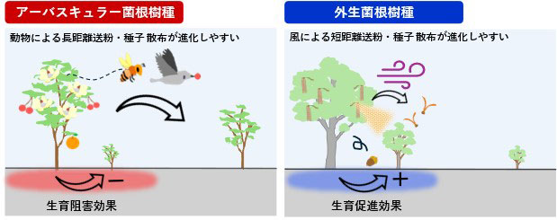 文章を入れてください