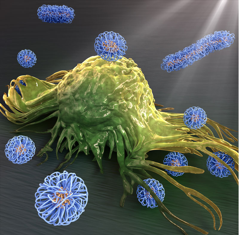 文章を入れてください