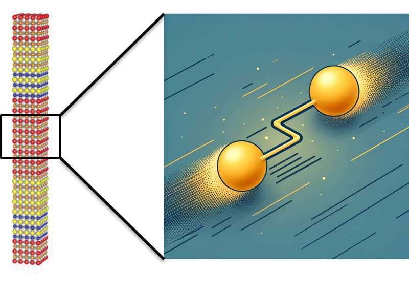 文章を入れてください