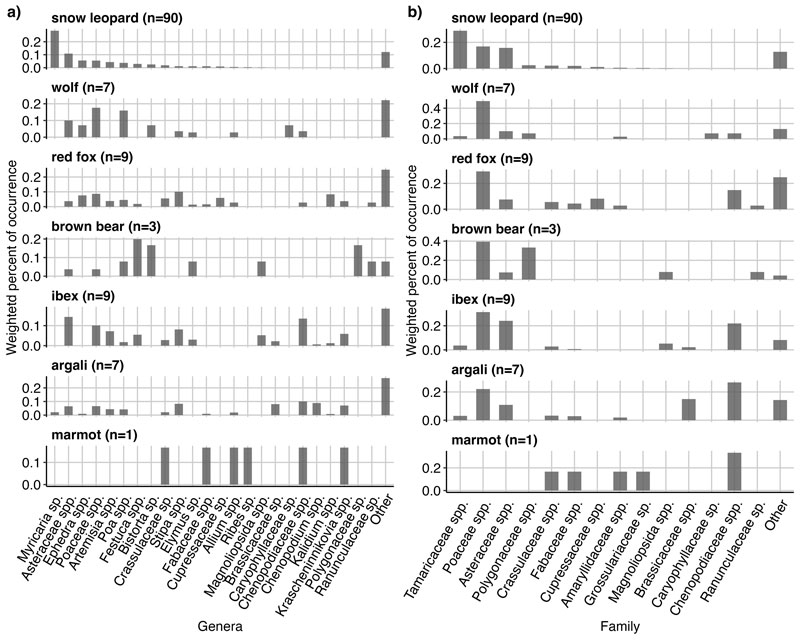 文章を入れてください